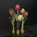 Colorful Tulip Ornaments Photo Spot With Pink Red Yellow White On Marble Countertop Black Background