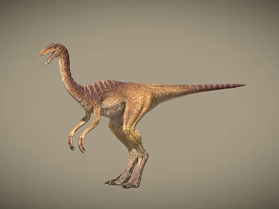 Dinosaurs Prehistoric Animals Jurassic Ancient Animals 3d model Dinosaurs Prehistoric Animals Jurassic Ancient Animals 3d model