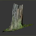 Natural Tree Stump Decorative Piece With Textured Surface Green Moss And Small Stones