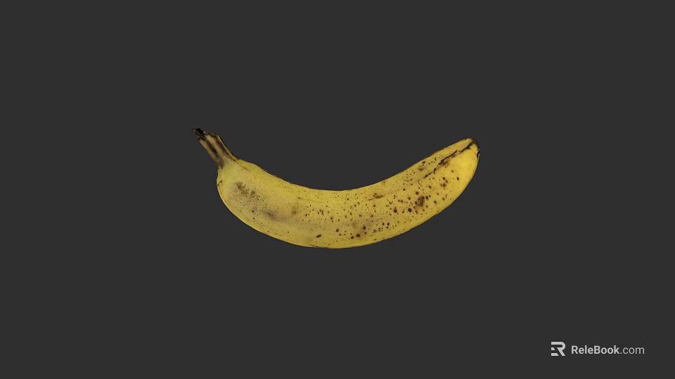 Detailed Botanical Drawing of Yellow Banana with Black Spots on Gray Background 3d model 