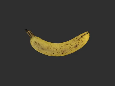 Detailed Botanical Drawing of Yellow Banana with Black Spots on Gray Background 3d model