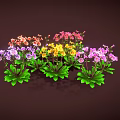 Vibrant Blooming Flowers Pink Yellow Purple Orange With Green Leaves On Brown Background