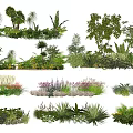 Various Shrubs Types for Garden Landscaping with Lush Green Foliage