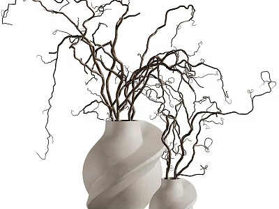 Modern Stylish Ornamental Decor Set With White Vases And Twisted Branches 3d model