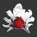 Game And Movie Character With Red Hair Pink Flower White Long Dress And Blue Decorations