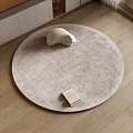 Round carpet fabric carpet 3d model