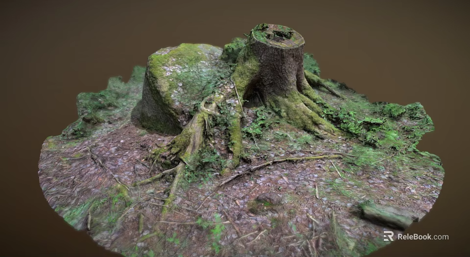 Old Tree Stump With Exposed Roots And Green Moss On Forest Floor 3d model 