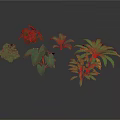 Various Indoor Plants With Different Green Leafy Species For Home Decoration