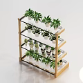 Multi tiered Wooden Shelves Displaying Various Small Potted Green Plants