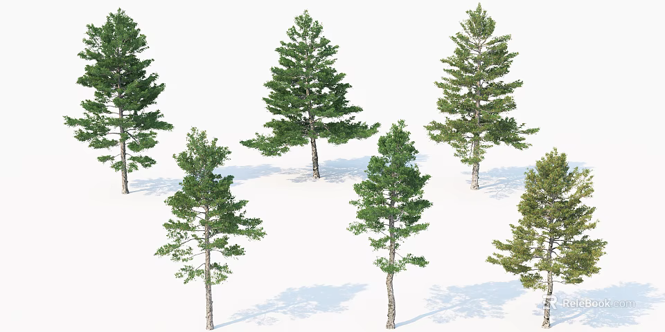 Various Arbor Trees With Green Foliage Different Forms Isolated On White Background 3d model