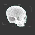 Detailed Ancient Human Skull With Visible Facial Features On Dark Background