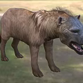 Reptile Resembling Hyena With Brown Fur Standing On Grassland Opening Mouth