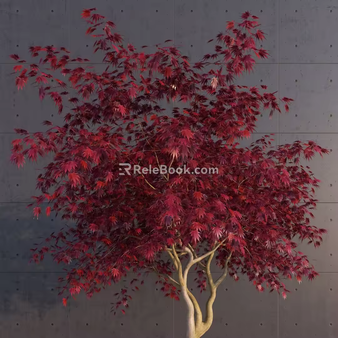 Modern Maple Landscape Tree 3d model