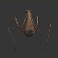 Modern mantis knife-winged insect 3d model