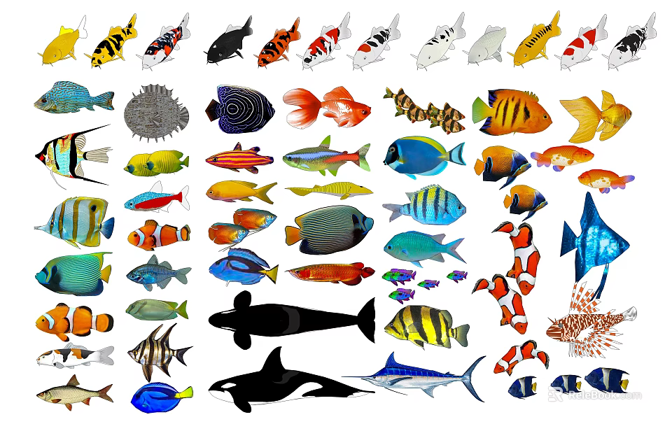 Colorful Aquatic Animals Featuring Various Tropical Fish And Marine Species 3d model 
