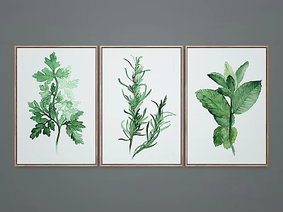 Three Botanical Prints of Coriander Rosemary and Mint Leaves in Wooden Frames on Gray Background 3d model