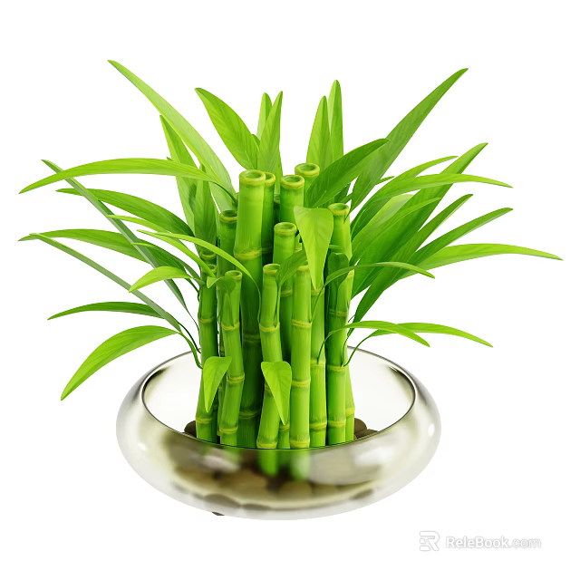 Bamboo Plant With Lush Green Stalks And Leaves In Transparent Glass Bowl With Pebbles 3d model 