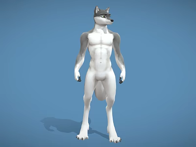 Anthropomorphic Wolf Like Game And Movie Character With Muscular Build And Gray White Fur 3d model