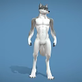 Anthropomorphic Wolf Like Game And Movie Character With Muscular Build And Gray White Fur