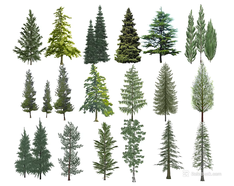 Diverse Collection of Evergreen and Deciduous Trees in Illustration Set 3d model 