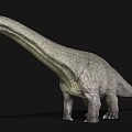 Lifelike 3D Sauropod Dinosaur Model With Long Neck Gray Skin On Black Background