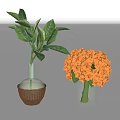 Decorative Glass Vases With Woven Accent Green Leaves And Orange Hydrangea Flowers