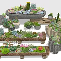 Bonsai Potted Plants Succulents and Cacti in Stone and Wooden Containers Decorative Display Arrangement