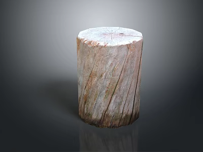 Rustic Organic Wooden Stone Stump Featuring Natural Texture and Smooth Surface 3d model