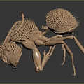 Detailed 3D Brown Ant Model Featuring Spiky Exoskeleton And Segmented Legs