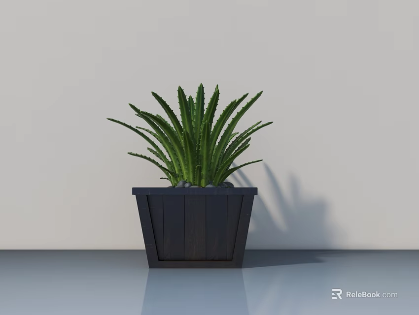 Green Leafy Potted Plant In Dark Wooden Square Pot Against Light Wall With Shiny Floor 3d model 
