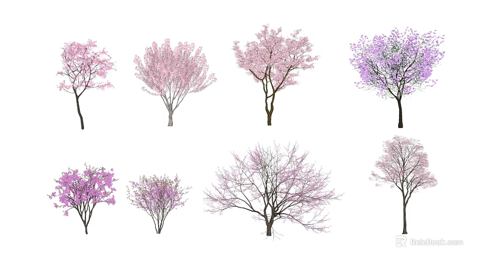 Various Types Of Flowering Trees With Pink Purple Blossoms And Diverse Forms 3d model 