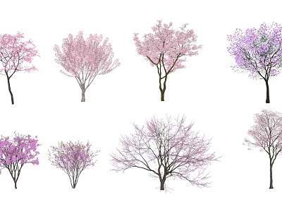 Various Types Of Flowering Trees With Pink Purple Blossoms And Diverse Forms 3d model