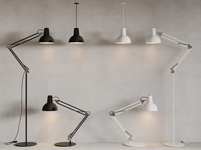 Modern Black And White Lighting Combination With Floor Lamps And Pendant Lights 3d model