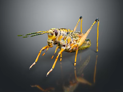 Colorful Grasshopper with Yellow Black Green Stripes Long Legs and Antennae on Dark Background with Reflection 3d model
