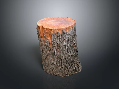 Natural Wooden Stump With Rough Bark And Smooth Cross Section Surface 3d model