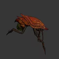 Sci Fi Fantasy Game Movie Character With Red Carapace Yellow Body And Long Antennae