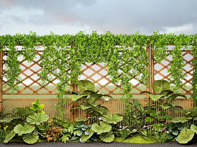 Lush Plant Combination With Green Vines And Wooden Lattice In Garden 3d model