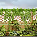 Lush Plant Combination With Green Vines And Wooden Lattice In Garden