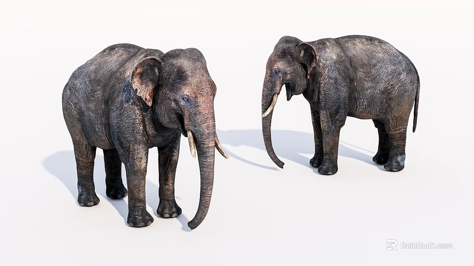 Two Reptilian Crocodiles In Natural Habitat With Scaly Skin Texture 3d model 