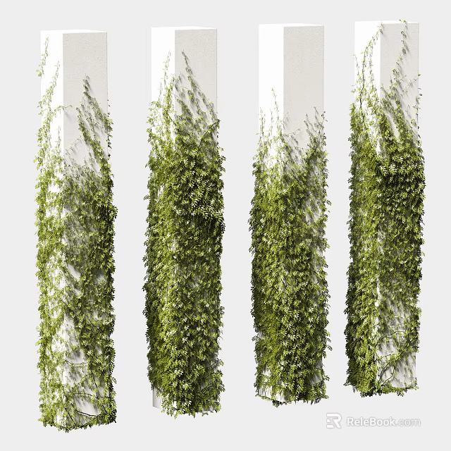 Green Vines Climbing White Pillars With Lush Foliage And Natural Growth Pattern 3d model 