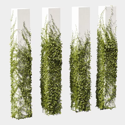 Green Vines Climbing White Pillars With Lush Foliage And Natural Growth Pattern 3d model