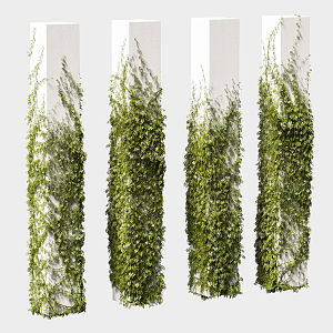 Modern vine square column leaf vine man 3d model