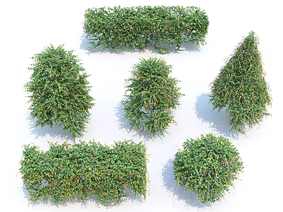 Various Shaped Bushes Ideal for Garden Landscaping and Decoration 3d model