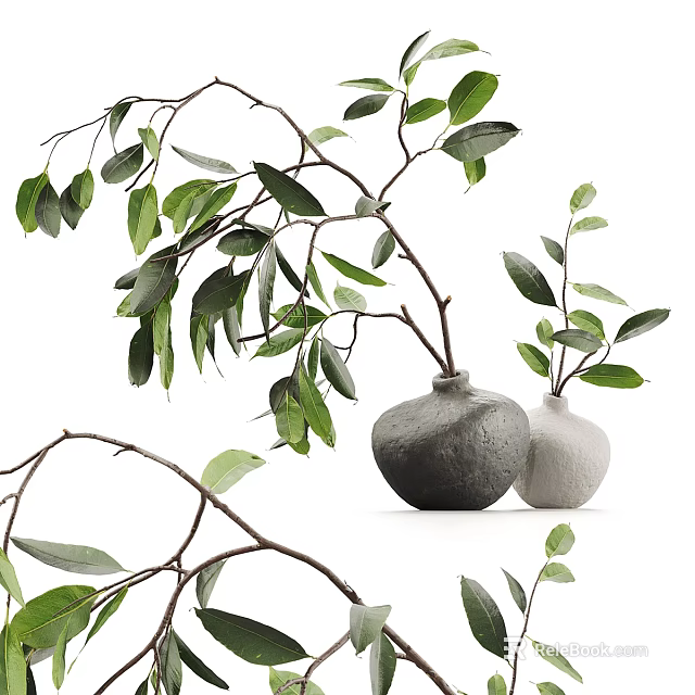 Bonsai Plants In Stone And White Ceramic Pots With Green Leaves And Branches 3d model 