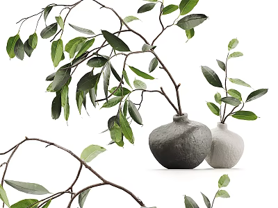 Bonsai Plants In Stone And White Ceramic Pots With Green Leaves And Branches 3d model