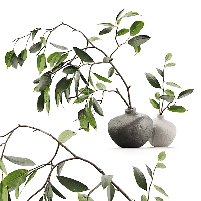 Bonsai Plants In Stone And White Ceramic Pots With Green Leaves And Branches 3d model