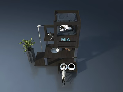 Swing Door Design For Cat Tree With MIA Name Cats Plant And Bowls 3d model