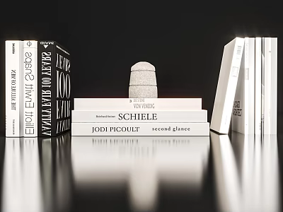 Stacked Books With White Spines Featuring Various Titles Including Schiele And Jodi Picoult 3d model