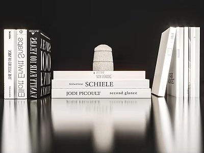 Modern Book Ornaments 3d model