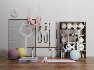 Diverse Sports Equipment Featuring Fitness Balls Yoga Straps Mat And Hanging Gear On Shelves 3d model